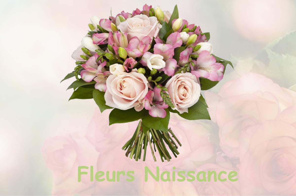 fleurs naissance SERMOISE-SUR-LOIRE